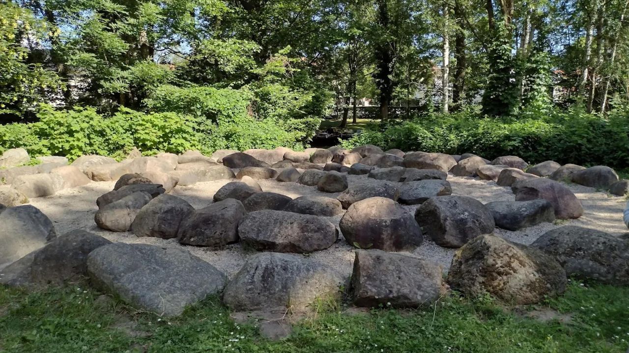 AreaSummer5KM AreaSummer5KM